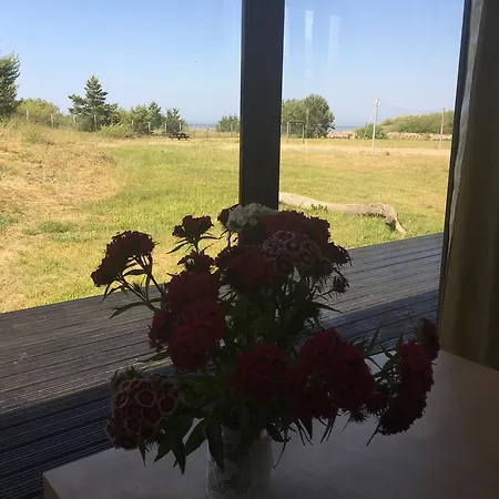 Marina Pāvilosta